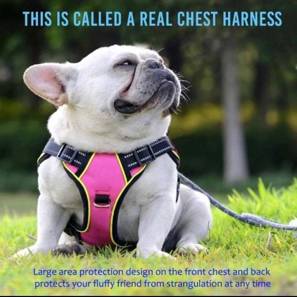 Dog Harness No Pull, Reflective Comfort Vest - Picture 2 of 8